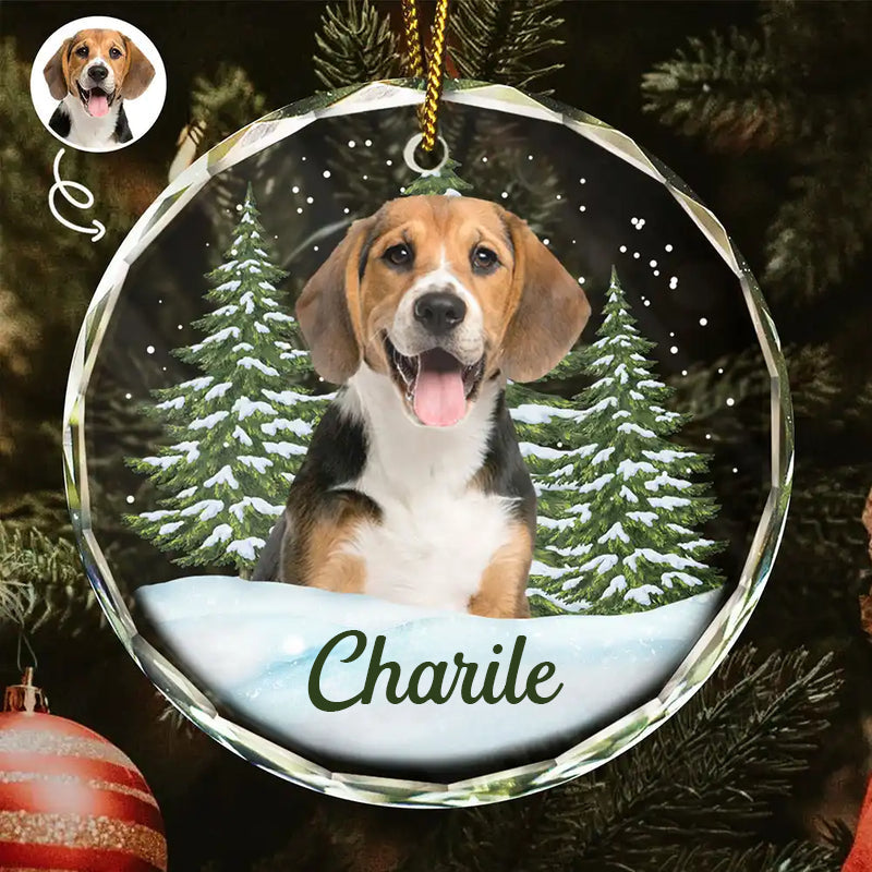 Personalisiertes Glasornament mit Foto Weihnachtsgeschenk für Tierliebhaber