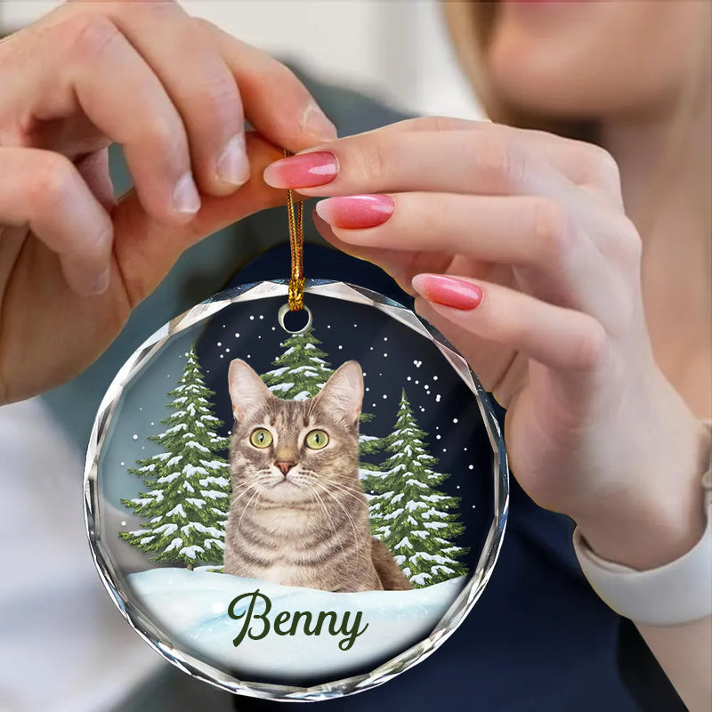 Personalisiertes Glasornament mit Foto Weihnachtsgeschenk für Tierliebhaber