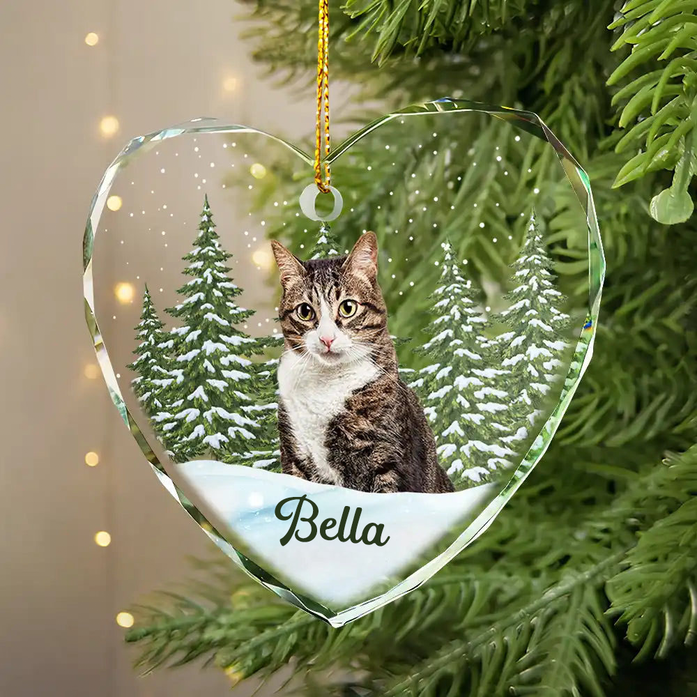 Herzornament mit Foto Personalisierter Christbaumschmuck