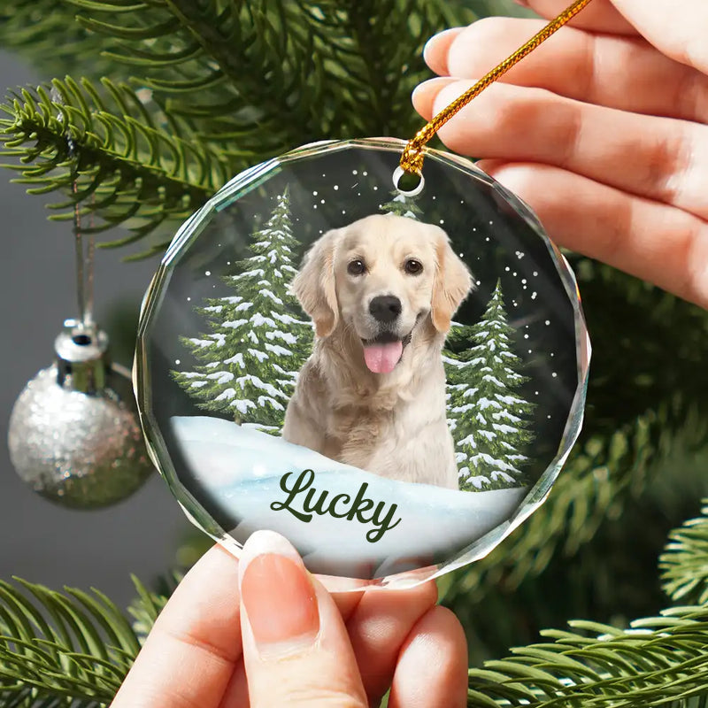 Personalisiertes Glasornament mit Foto Weihnachtsgeschenk für Tierliebhaber