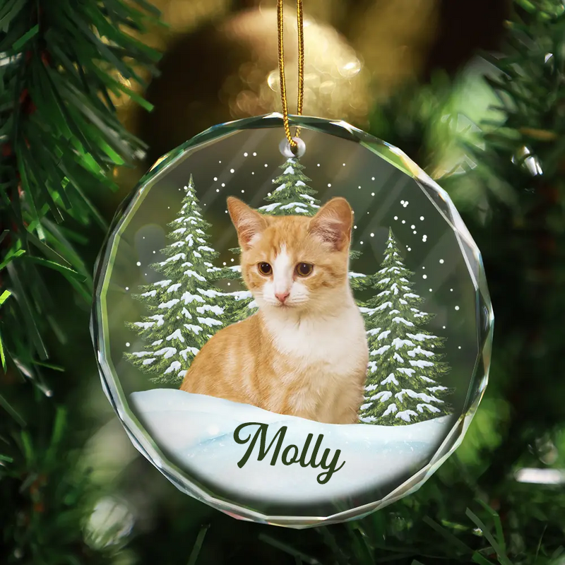 Personalisiertes Glasornament mit Foto Weihnachtsgeschenk für Tierliebhaber