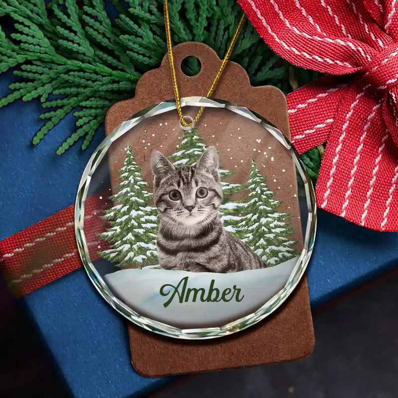 Personalisiertes Glasornament mit Foto Weihnachtsgeschenk für Tierliebhaber